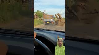 Download lagu Won't it fall ‼️ #animals #funny #subscribe mp3