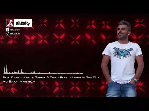 Pete Dash   Martin Garrix & Third Party   Lions In The Wild (AliSaky Mash-up)