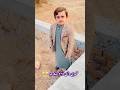 Respons On Viral Video Umairi Wali Video Viral Humairi Video Foryou Shorts Viralnow Viral