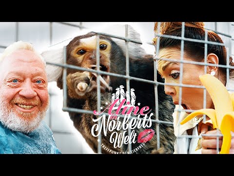AFFEN essen HEUSCHRECKEN? | ALINE in NORBERTS WELT | Zoo Zajac