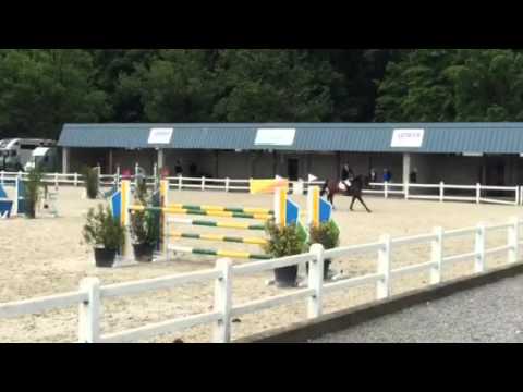 Qualification Belgian Championship Gesves 1m30
