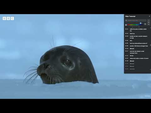 Item video thumbnail