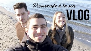 VLOG - Musculation, Plage, et Soirée entre Amis !