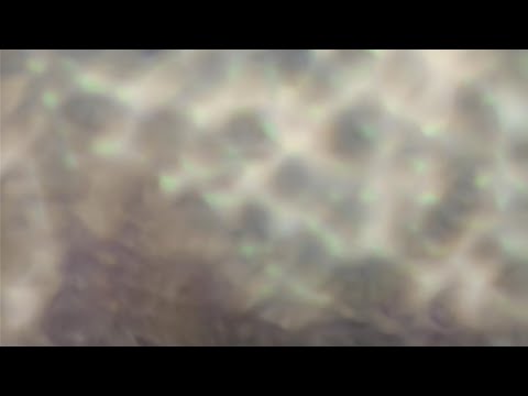 Carlos Cipa – Forgotten me (Official Music Video)