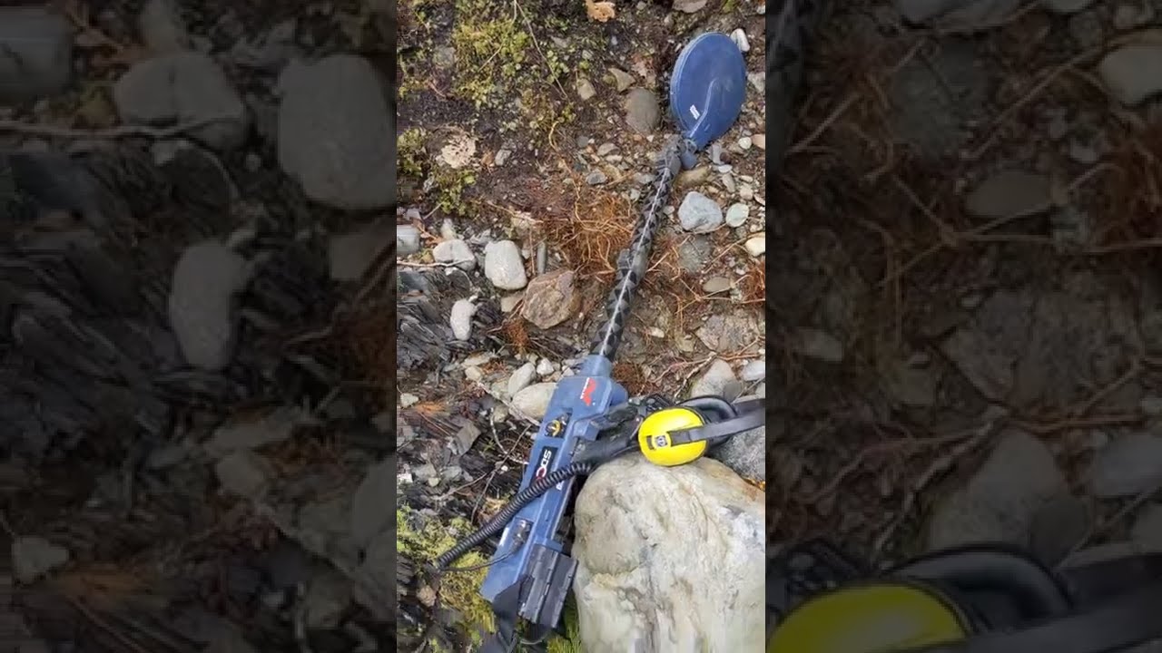 Found Another Gold Nugget!!