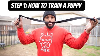How to Train a Puppy: Step 1