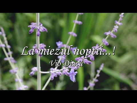 Vio Diacu - La miezul noptii "At midnight Hour" (Cu Versuri)