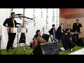 Kembang Implengan Nelsyadela