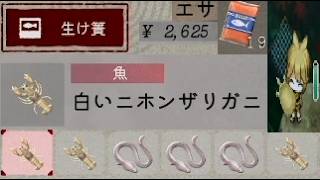 【ほの暮しの庭】生け簀で魚が増える白いニホンザリガニ増殖・ヌシ白いスッポン釣れた攻略実況