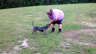 Pepper Doing His thing