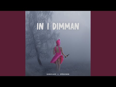 IN I DIMMAN