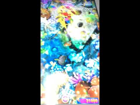 AKA fish game machine introduction 011 (www.hominggame.com)
