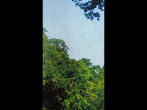 স্বপ্ন ভরা নয়ন আমার...মহাম্মদ আব্দুল  জব্বার..Sopna vora nayan.. MOHAMMAD ABDUL JABBAR .