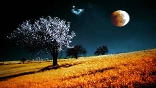 Blackmore&#39;s Night  -  Shadow Of The Moon (HD)