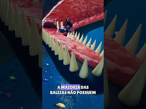 🔴 What Happens When a Person Is Swallowed by a Whale?