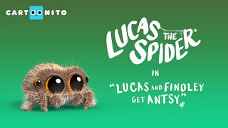 Lucas the Spider - Lucas and Findley Get Antsy - Short
