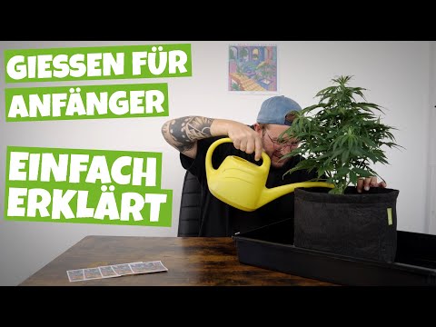 Gießen für GROW Anfänger | Wie viel Wasser brauchen meine Pflanzen ? | so einfach wie möglich Teil 3