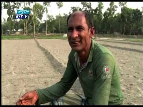 বাজারে দেশি পেঁয়াজের সরবরাহ বেড়েছে