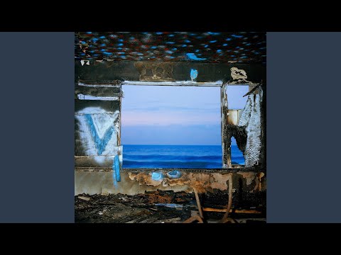 Carrion - Deerhunter