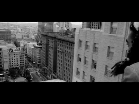 Esquire Ali - Seal Pup