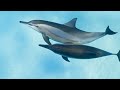 Aquarium 4K VIDEO (ULTRA HD)🐠 Relaxing Oceanscapes - Sleep Meditation 4K UHD Screensaver