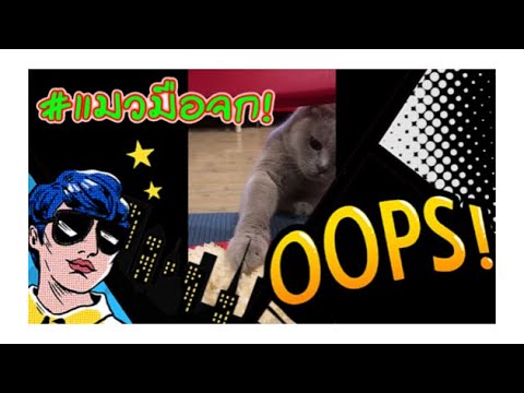 คลิกเพื่อดูคลิปวิดีโอ