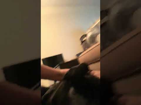 My Dog Twilight is 5 years old-dying from Lymphoma