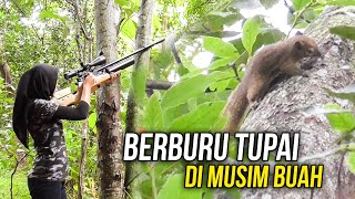 Download lagu RATUSAN TUPAI SERBU KEBUN RAMBUTAN DISIKAT LADIES MARKSMAN mp3