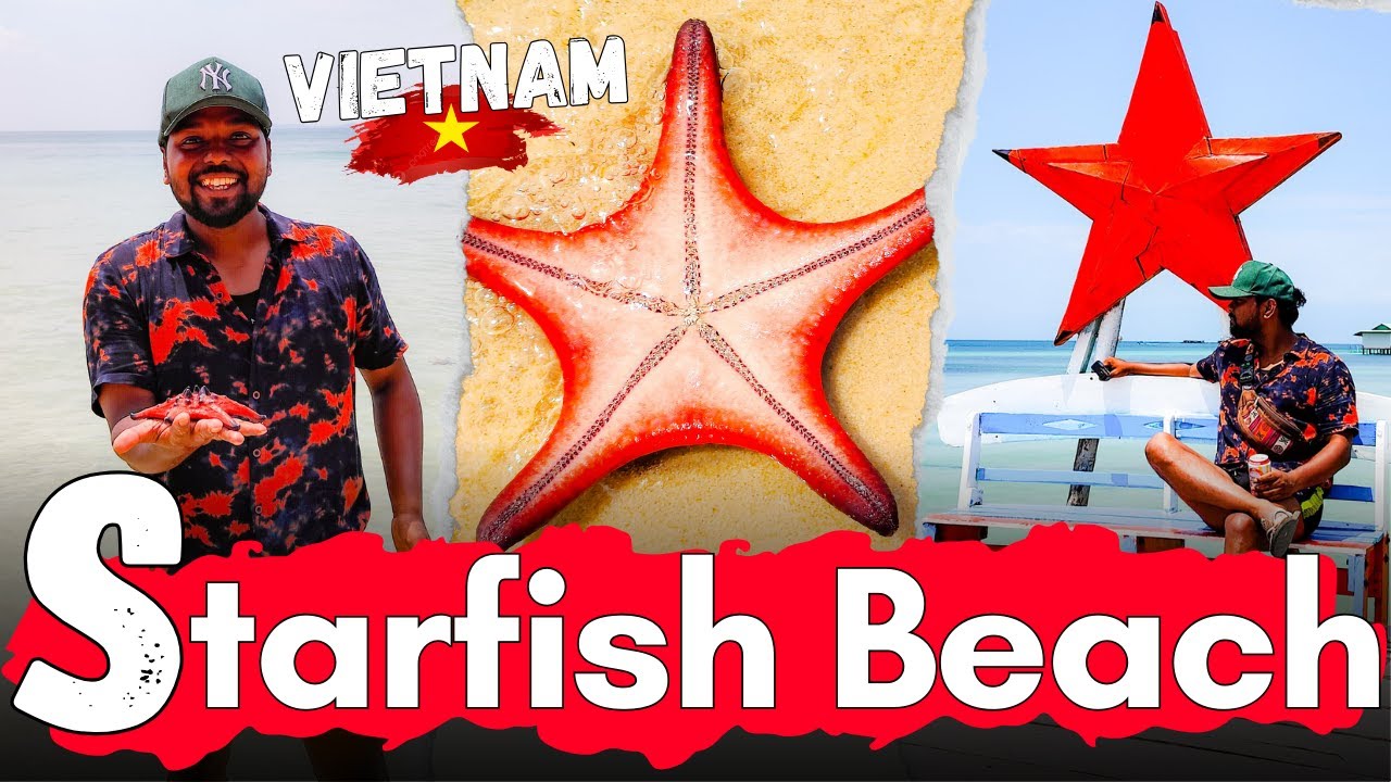 Tourists visit Starfish Beach to admire its pristine sands, clear waters, and vibrant marine life.
