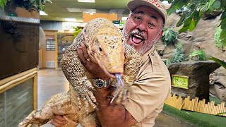 Giant Monitor Lizard MUKBANG! 🦎🍽️ Fabio Eats BIG!