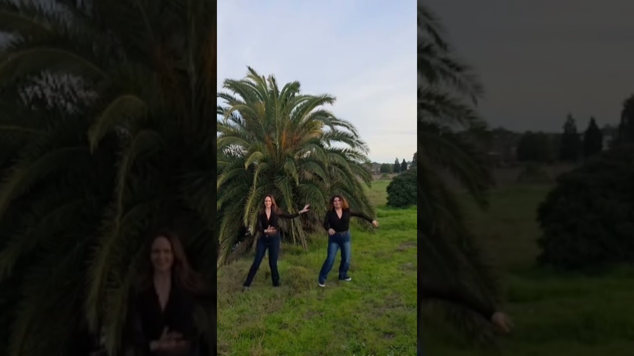 Promotional video thumbnail 1 for Sabor Latino Dance & Music Collective