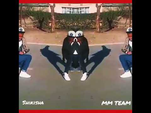 MM team- shikisha