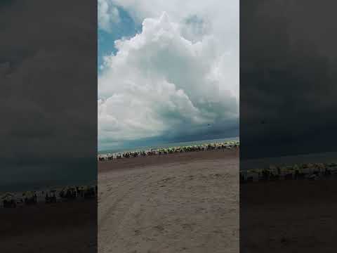 Beach View || Gossip Time