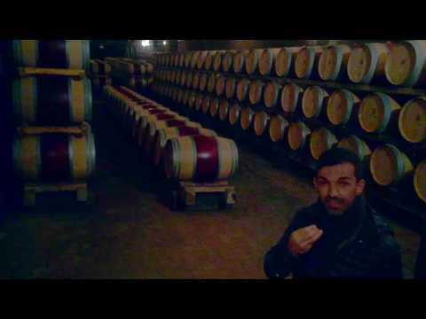 Nipozzano Estate - Frescobaldi Winery in Tuscany