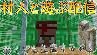 【ザ・作業】村人と戯れたりゴーレムと戯れたりする配信【Minecraft】
