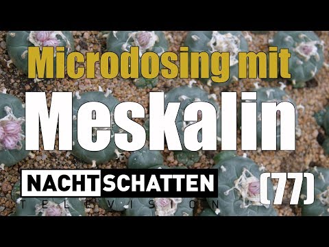 Microdosing mit Meskalin | Nachtschatten Television (77)