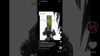 Download lagu tanda kebesaran Allah S.W.T mp3 Download lagu tanda kebesaran Allah S.W.T mp3