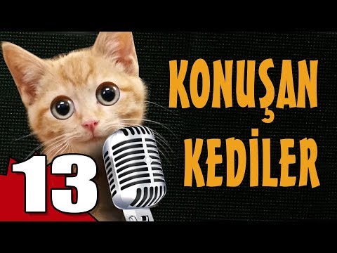 Konuşan Kediler 13 - En Komik Kedi Videoları