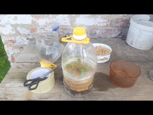 Youtube Video Youtube Video