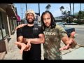 Vikter Duplaix feat. Common - Morning Fun + Download Link