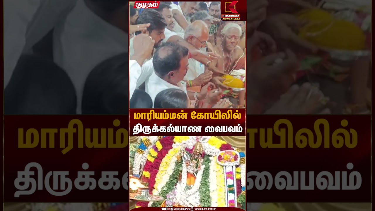 மாரியம்மன் கோயிலில் திருக்கல்யாண வைபவம் கோலாகலம் | Palani | Dindigul | Kumudam News