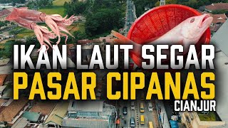 Pasar Cipanas Cianjur - Berburu Ikan Laut Segar