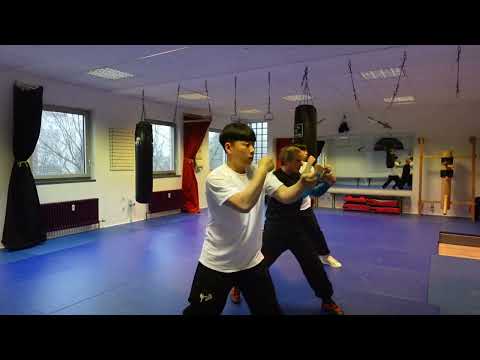 Baek Wing Tsun parts of 1. & 2. grade #martialarts #selbstverteidigung #kampfkunst #wingchun