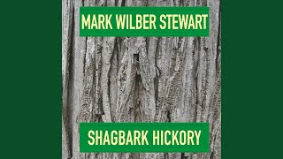 Walk Through the Bottomland