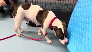 Caroline 235694 | Enjoying The Love!