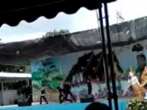 Sperm cover BEAST SHOCK