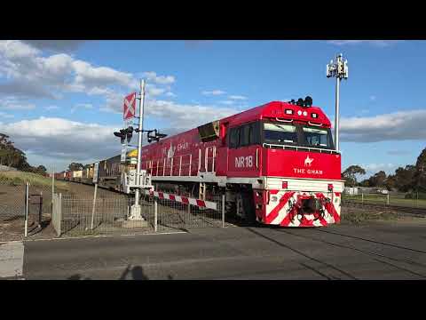 Pacific National NR18 NR94 NR96 4MA5 train Little River