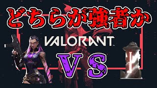 【VALORANT】スパイク爆発 ＶＳ レイナ：ディスミス【検証動画】