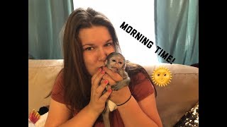 Baby monkey morning time | Max’s morning Routine