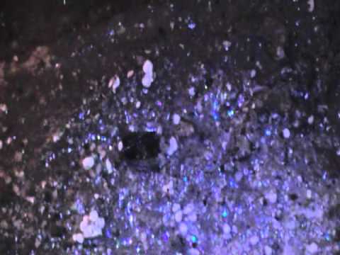 Se linfluenza sulla psiche osteocondrosi Olio di squalo per giunti come acquistare